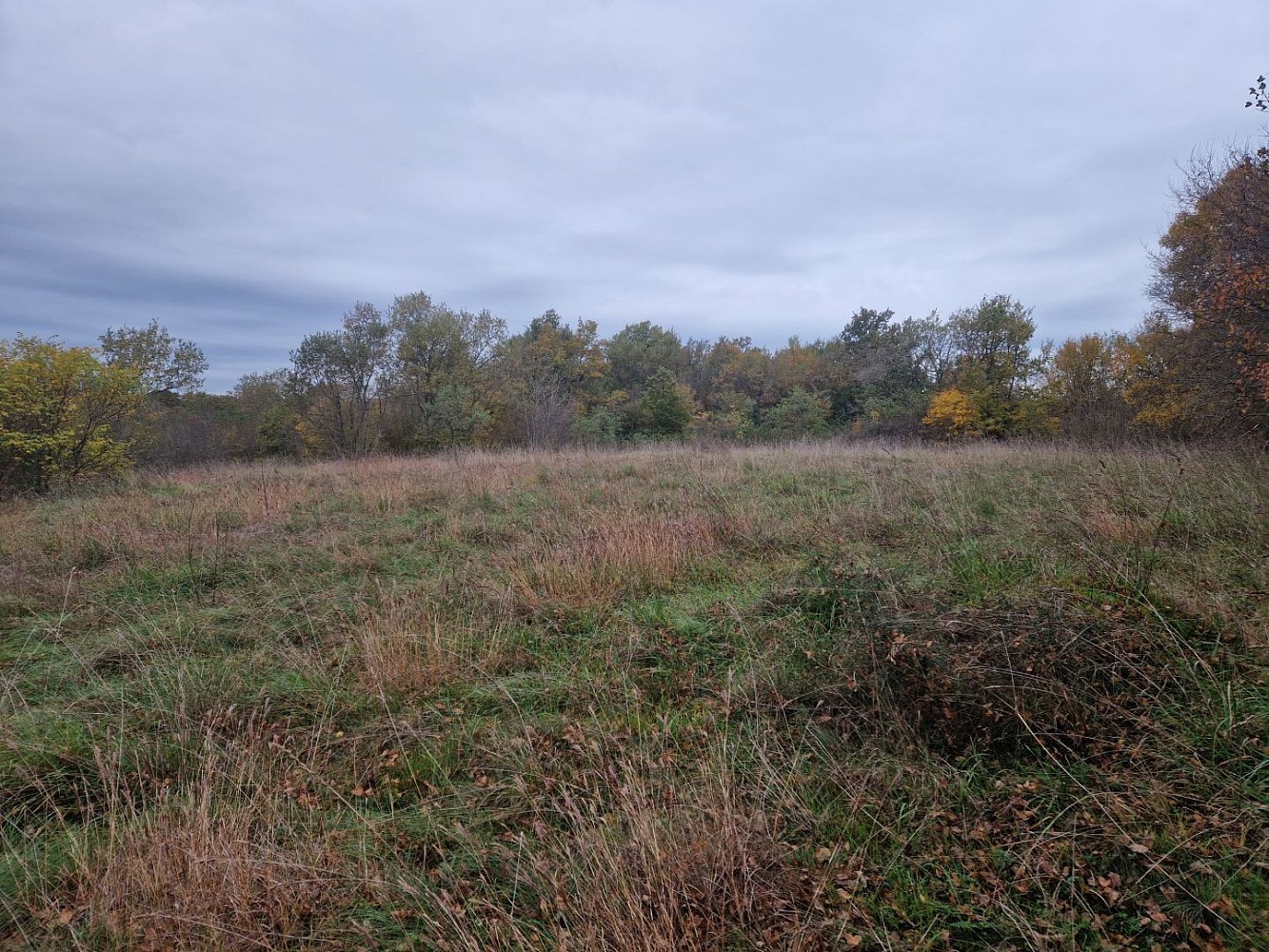 Pozemky pro bydlení, Barban, Istarska županija, Chorvatsko, 2 900 m² - 2