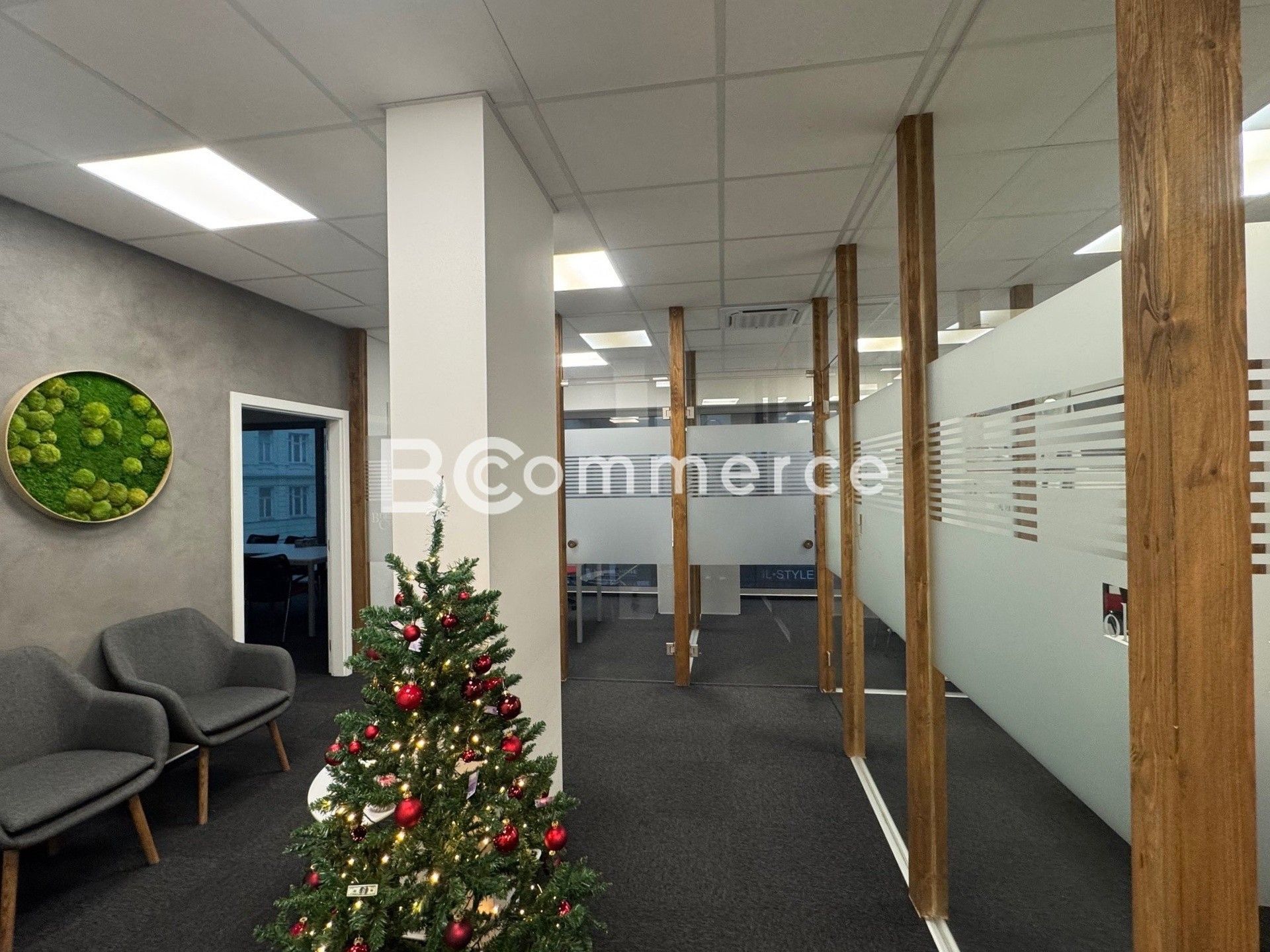 Kanceláře, Hybešova, Brno, 91 m²
