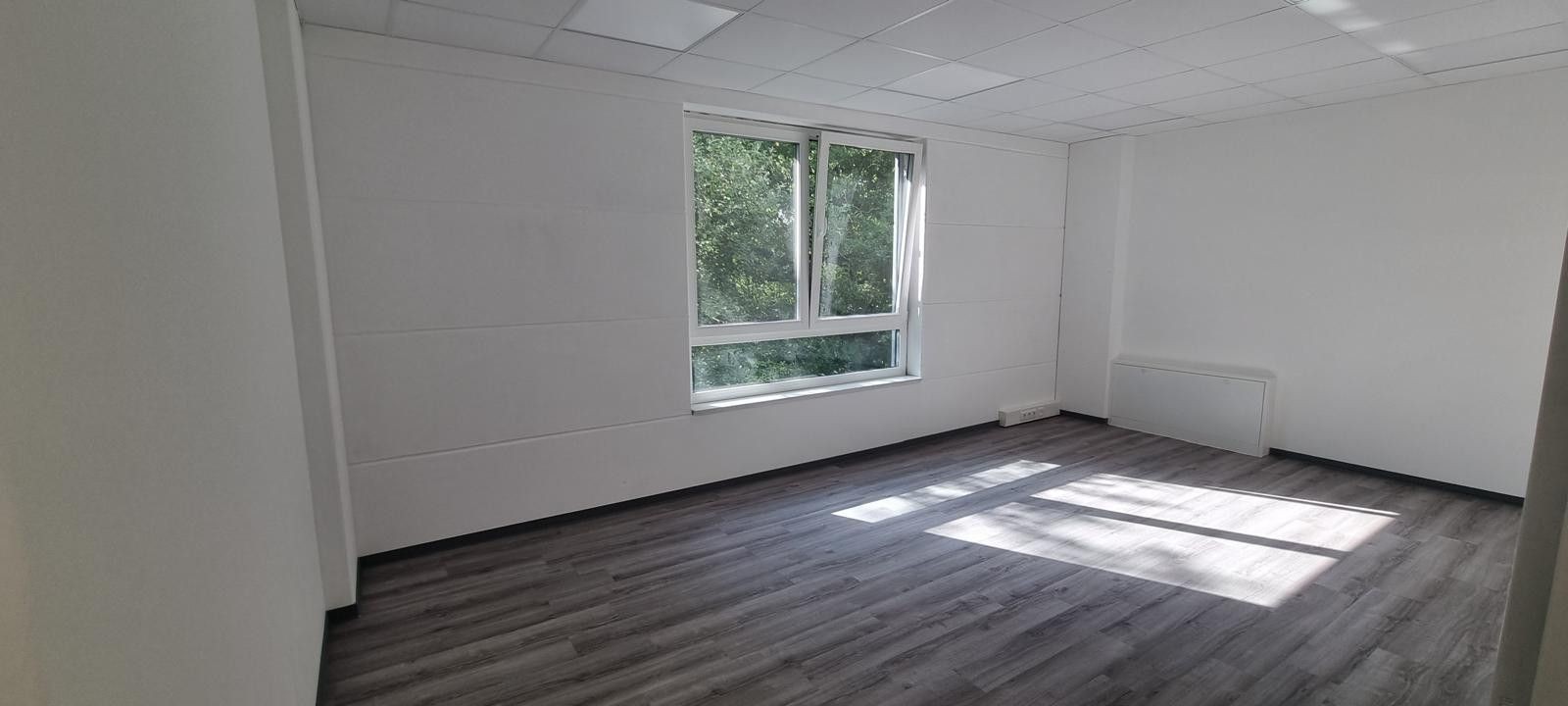 Kancelář · 30 m² · , Šlesvicko-Holštýnsko - 3