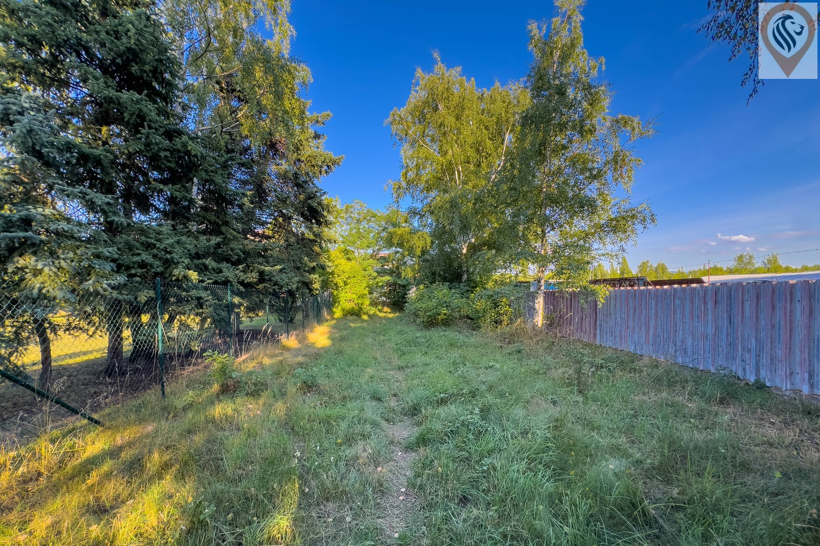 Prodej pozemek pro bydlení - Košťany, 2 054 m² - 5
