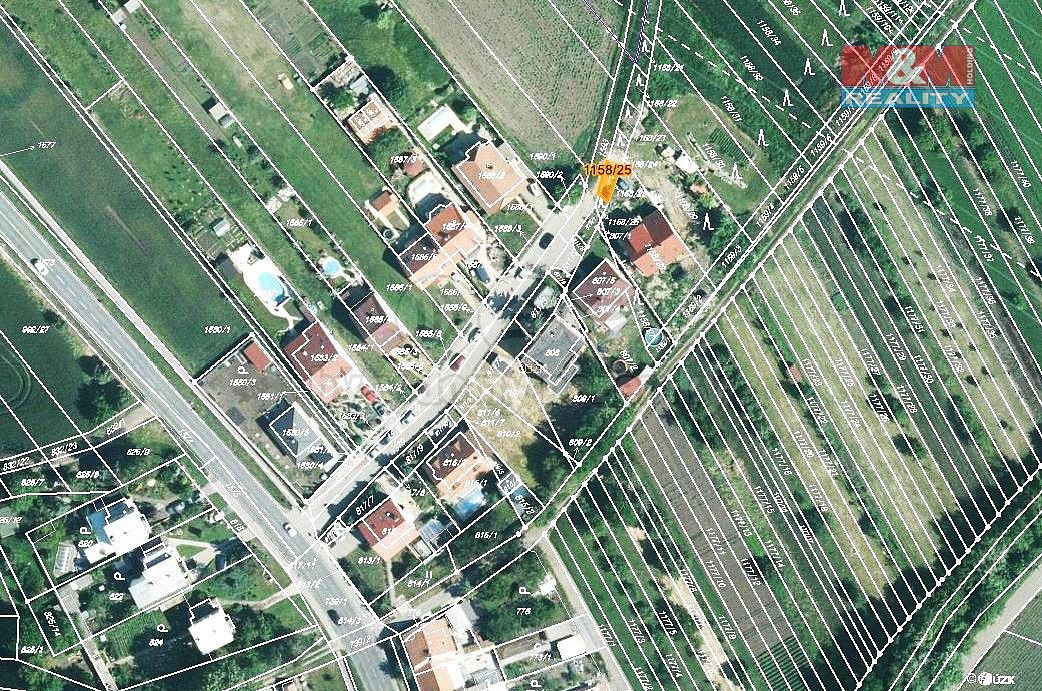 Les · Telnice, okres Brno-venkov, Jihomoravský kraj - 3