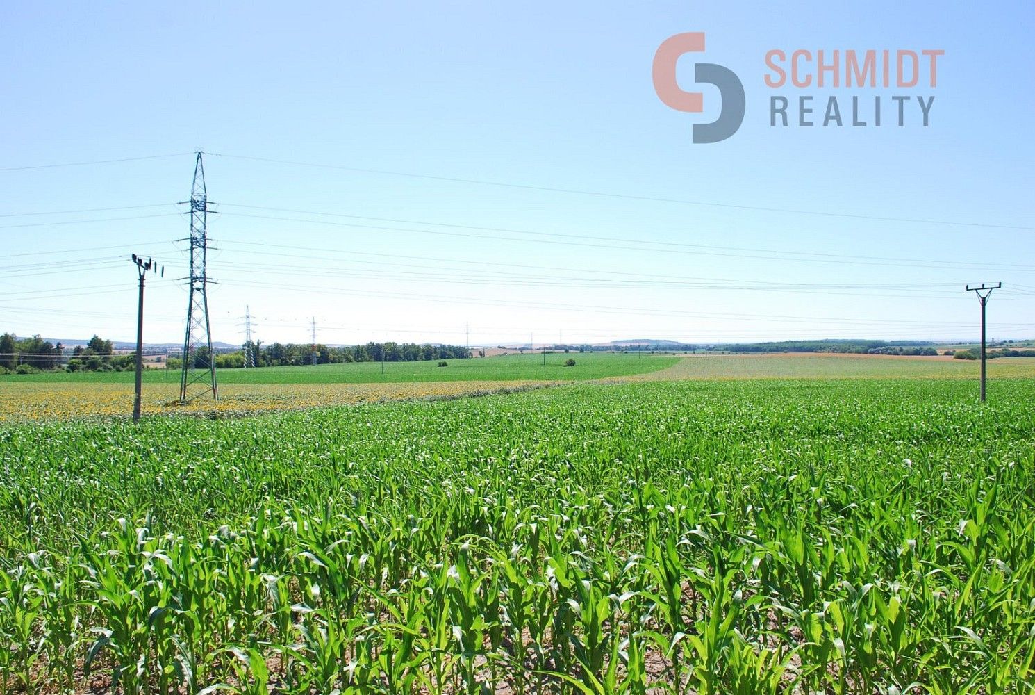 Prodej zemědělský pozemek - Mikulov, okres Břeclav, Jihomoravský kraj - 5