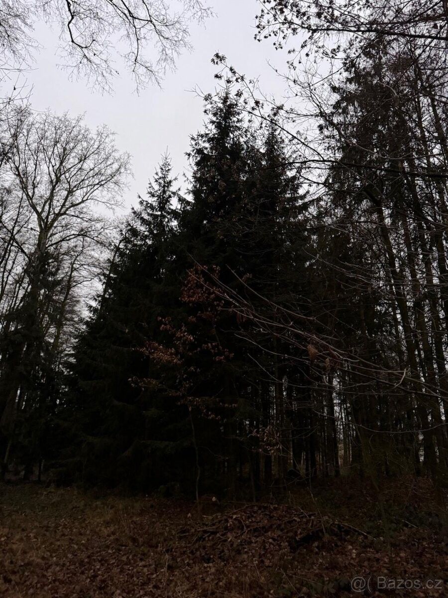 Pozemky pro bydlení, Klatovy, 339 01