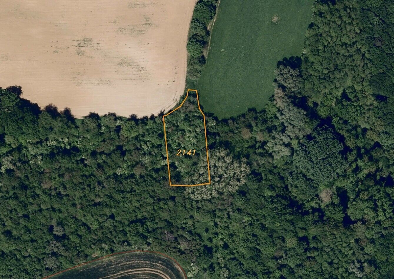 Prodej pozemek - Újezdec, 4 878 m² - 5