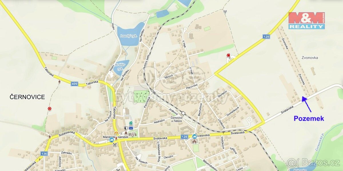Prodej pozemek - Černovice u Tábora, 394 94, 2 821 m²