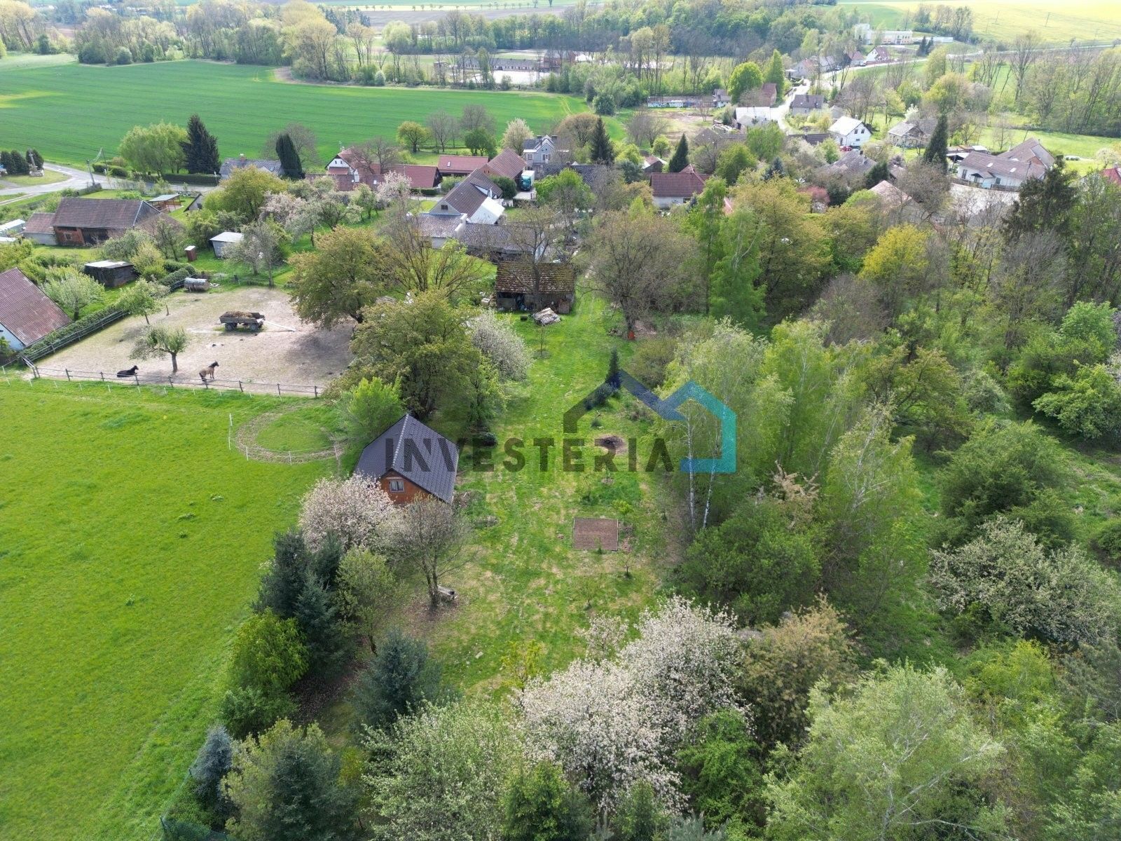 Prodej pozemek pro bydlení - Březovice, Hořice, 3 538 m²