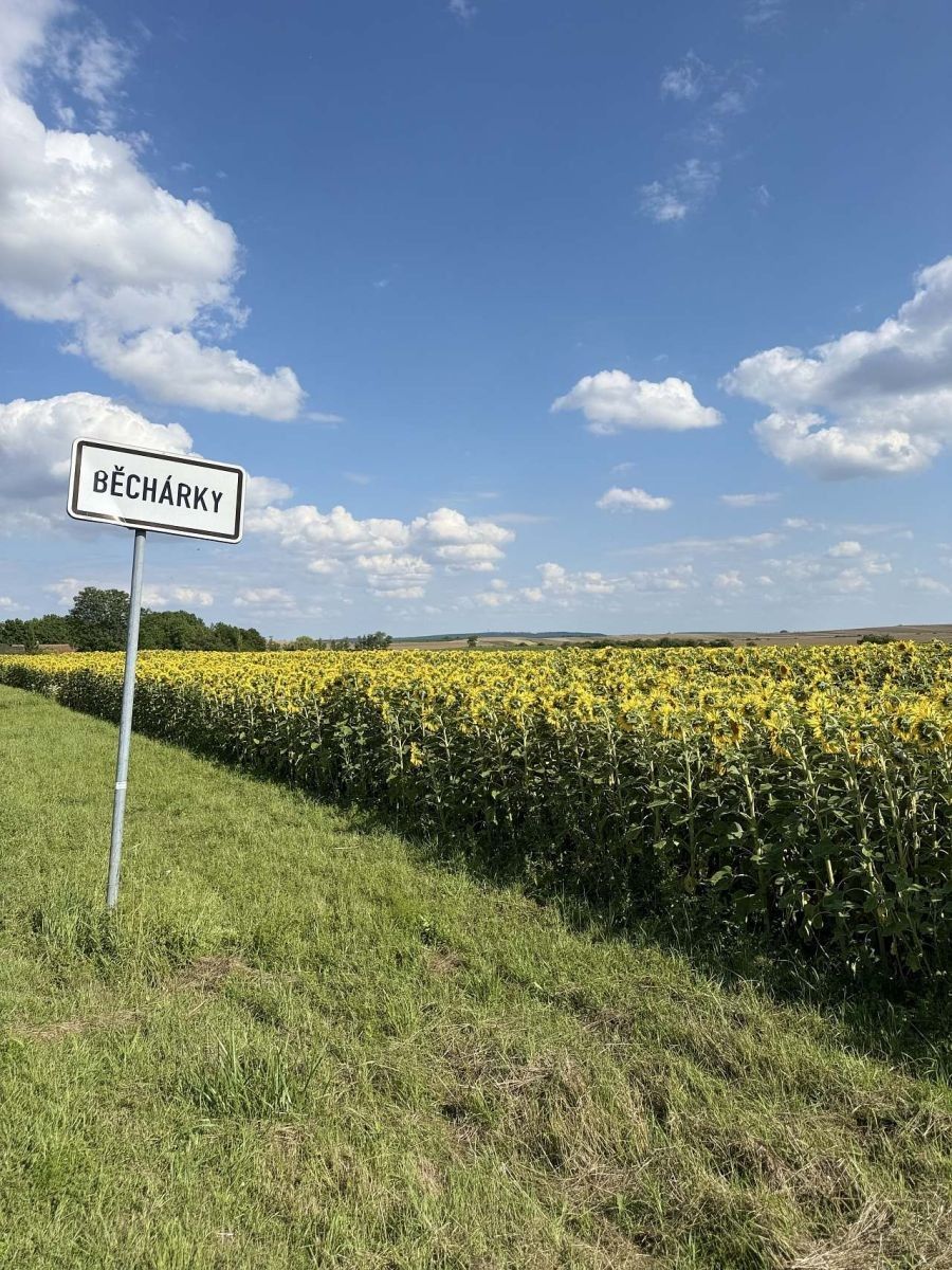 Chata · Běchary - Běchary, Královéhradecký kraj - 3