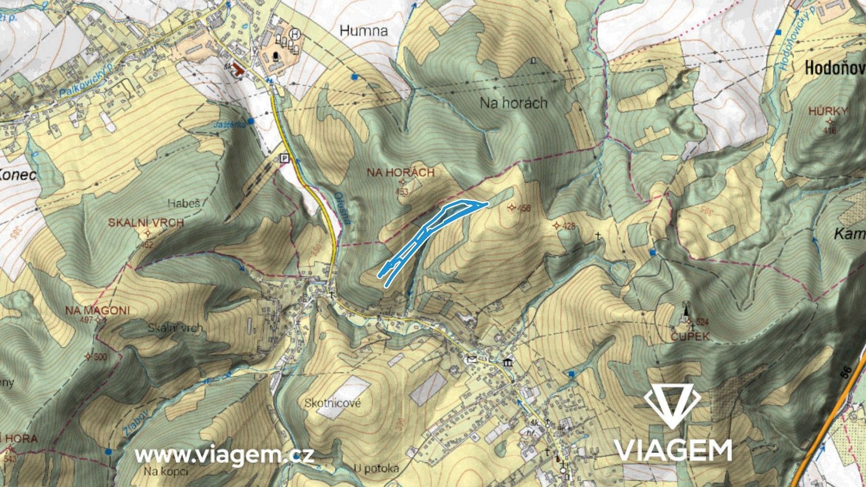 Les · Metylovice, okres Frýdek-Místek, Moravskoslezský kraj - 3