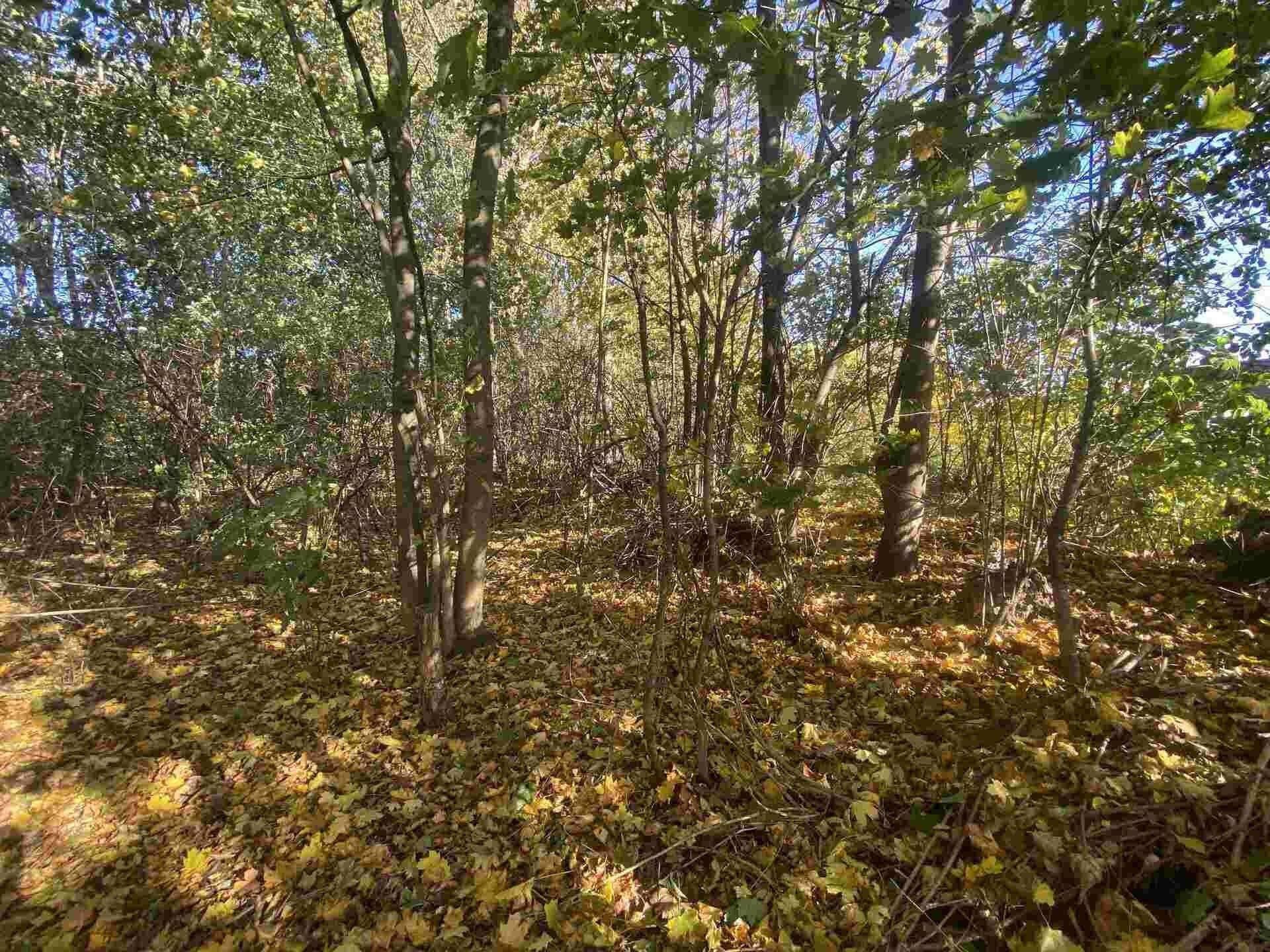 Pozemky pro bydlení, Zdislava, 1 m²