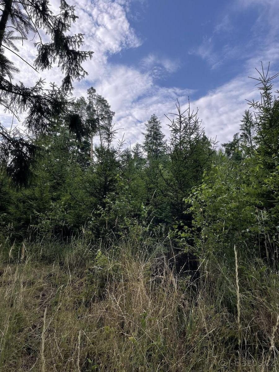 Prodej pozemek pro bydlení - Jevíčko, 569 43