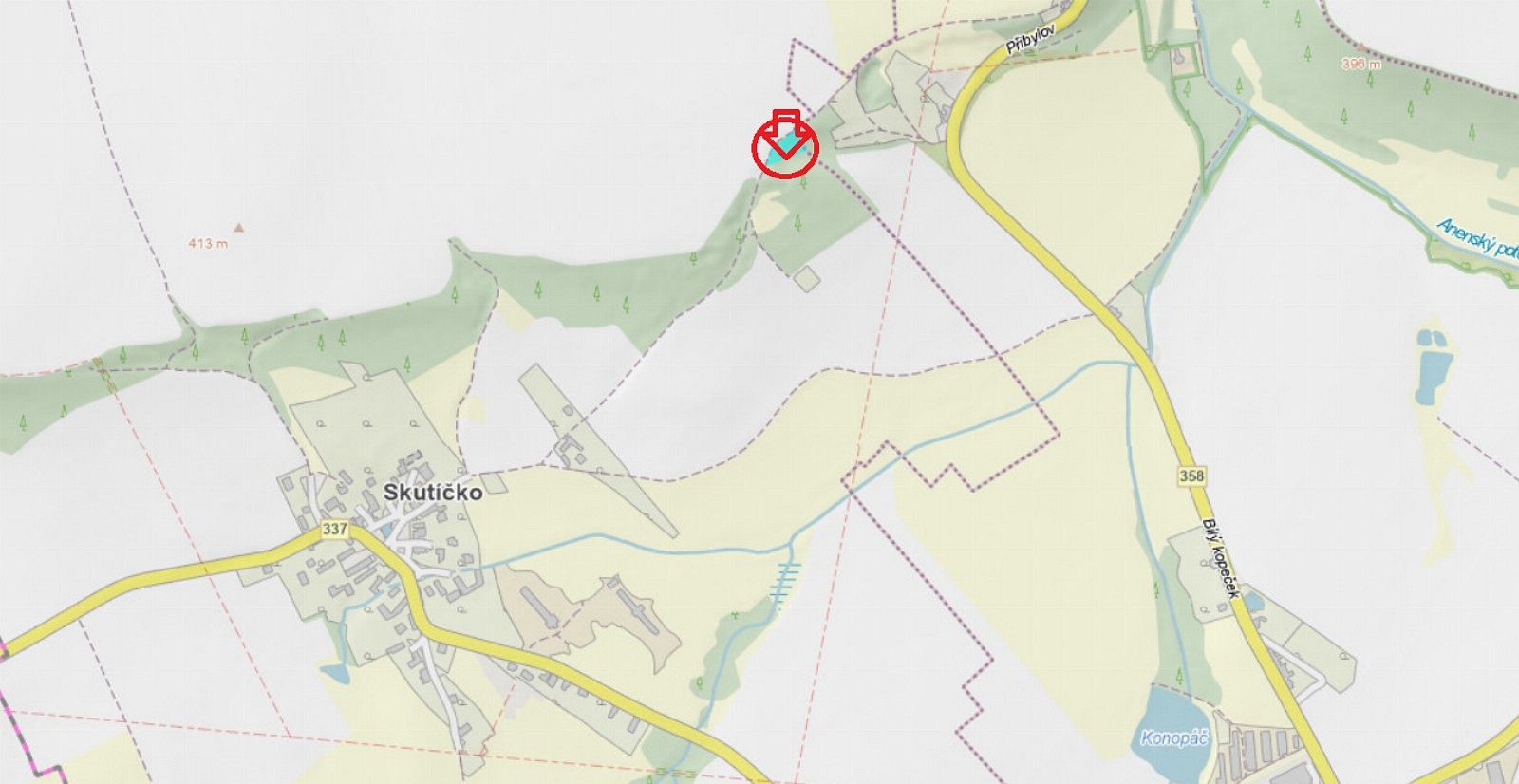 Les · Skuteč - Šluknov, okres Chrudim, Pardubický kraj - 4