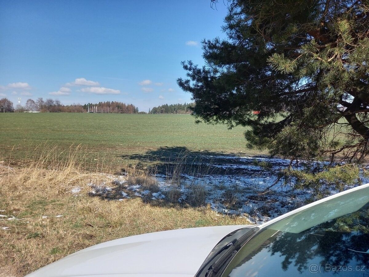 Pozemky pro bydlení, Velká Losenice, 592 11