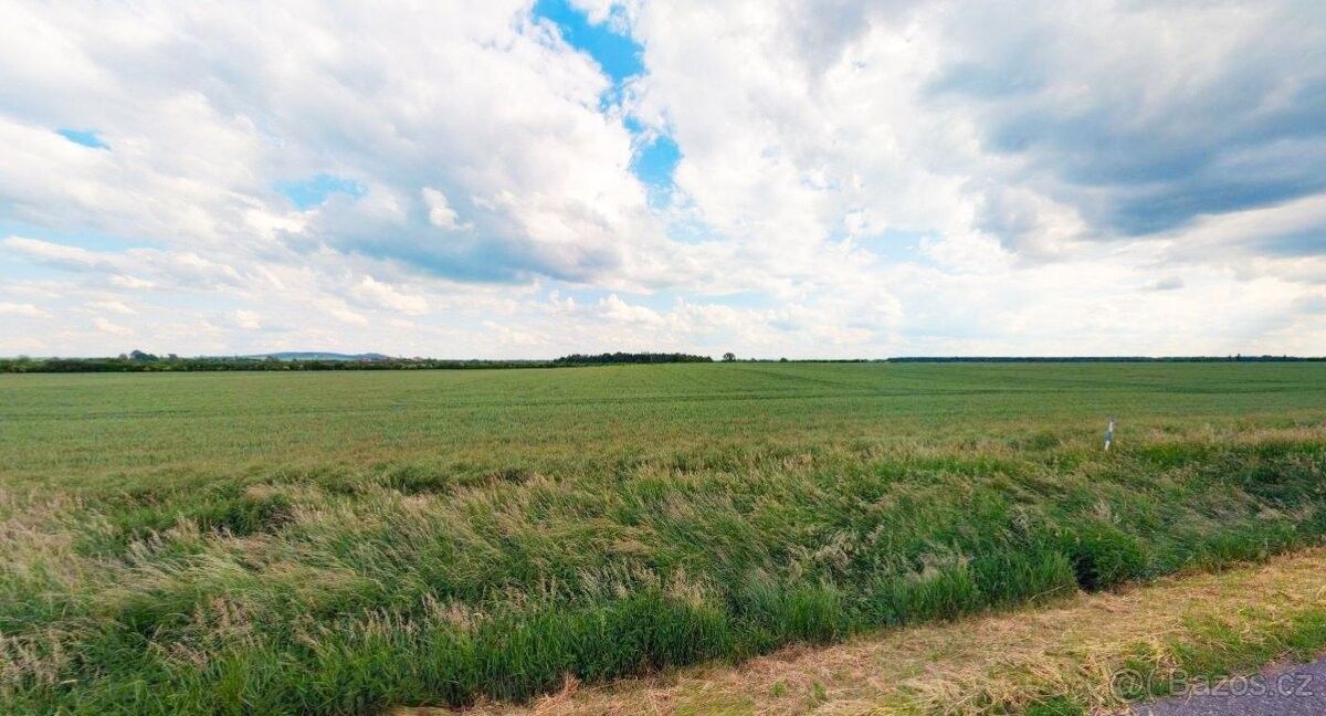 Prodej pozemek pro bydlení - Poděbrady, 290 01