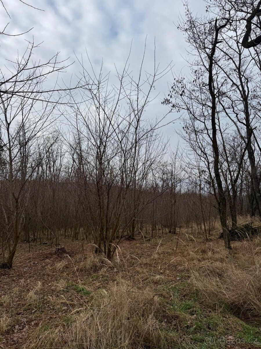 Pozemky pro bydlení, Moravský Krumlov, 672 01