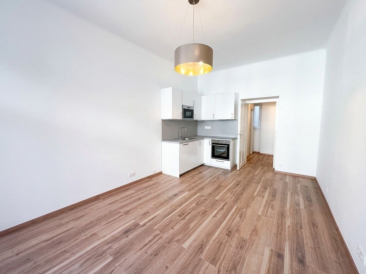 1+kk, Štítného, Praha 3 - Žižkov, 28 m² - 1