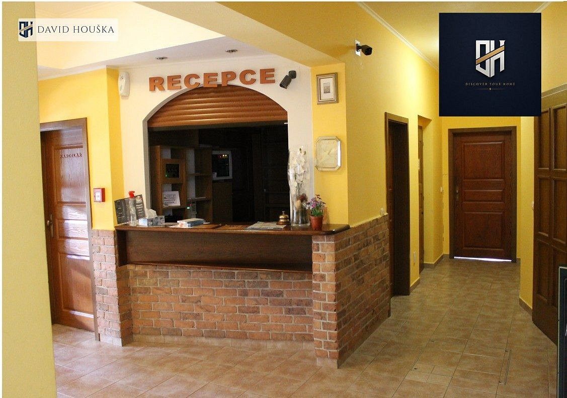 Ostatní, Veselí nad Lužnicí, okres Tábor, Jihočeský kraj, 1 165 m² - 2