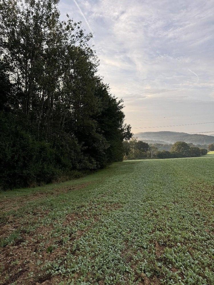 Pozemek · Blíževedly - Bílov, okres Česká Lípa, Liberecký kraj - 3
