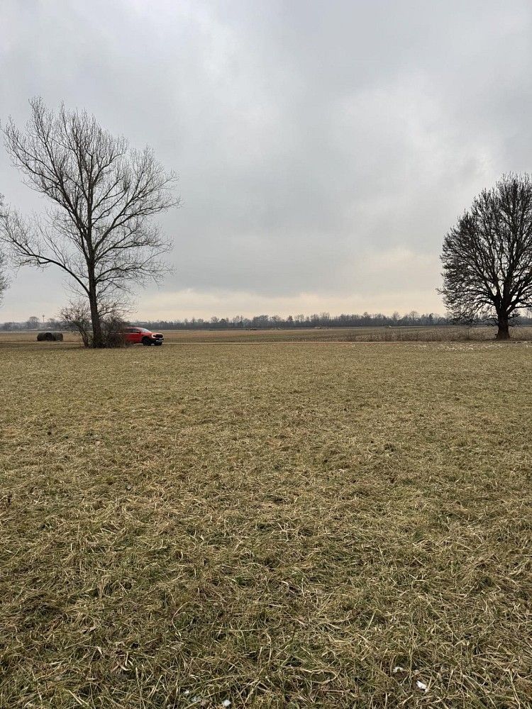 Les · Uherský Ostroh - Varnsdorf - 4