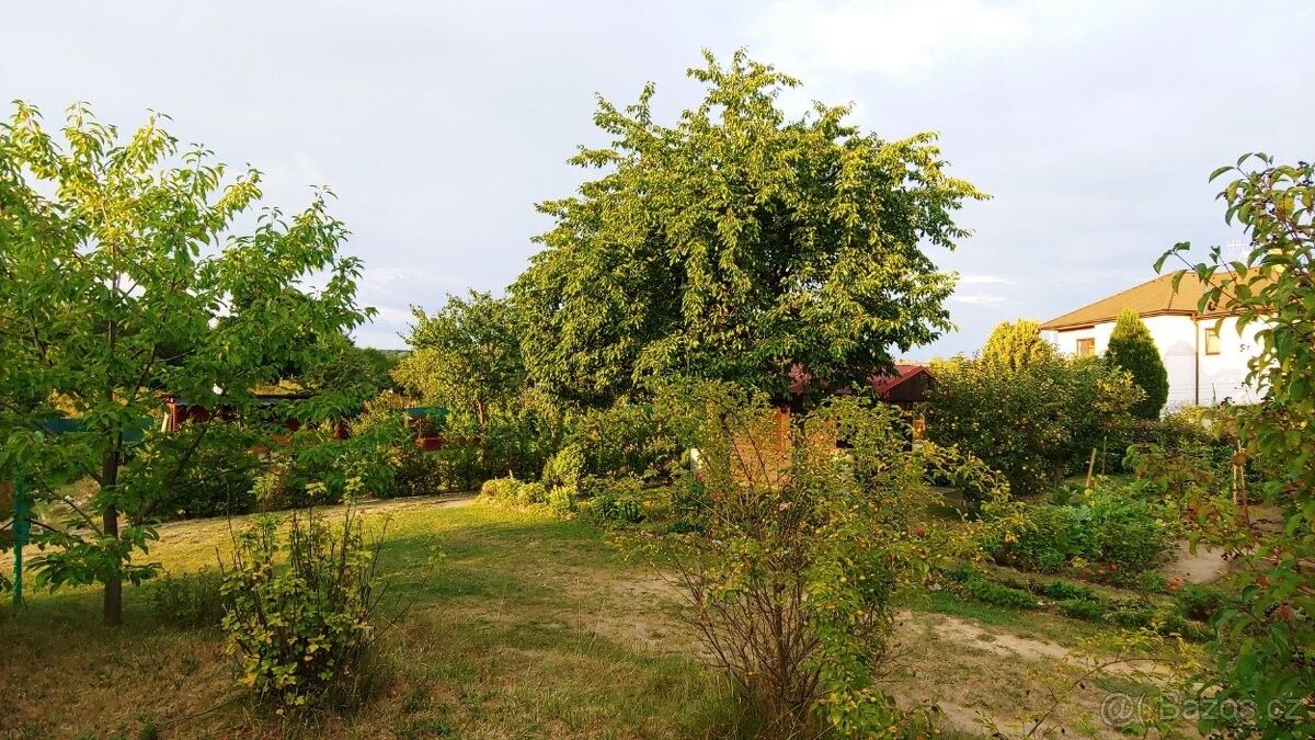 Zahrady, Mladá Boleslav, 293 01