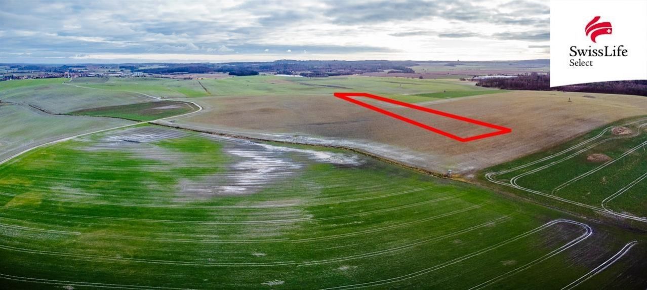 Prodej zemědělský pozemek - Ctidružice