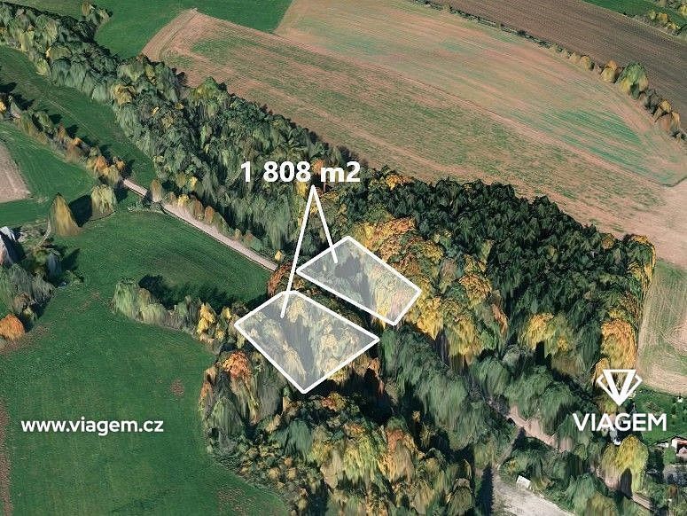 Prodej les - Úbislavice, okres Jičín, Královéhradecký kraj - 1