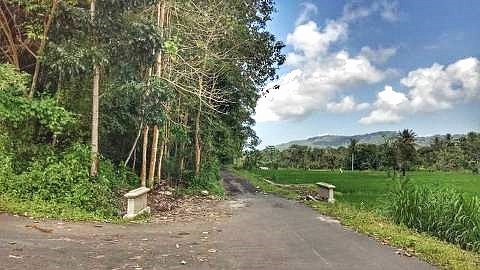Prodej pozemek pro bydlení - Bebandem, Karangasem, Indonézie - 5