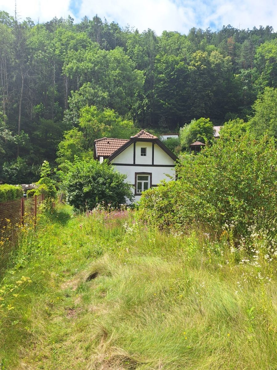 Chaty, Stříbrná Skalice - Stříbrná Skalice, Středočeský kraj, 42 m² - 2