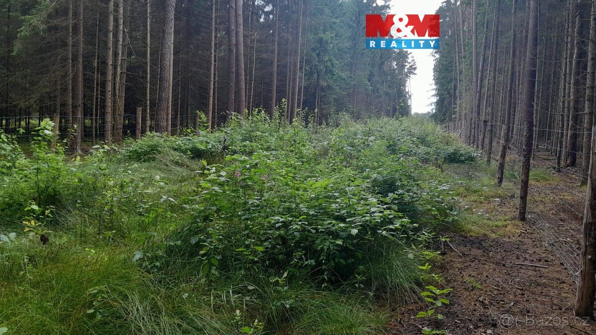 Prodej les - Bernartice u Milevska, 398 43, 3 179 m²