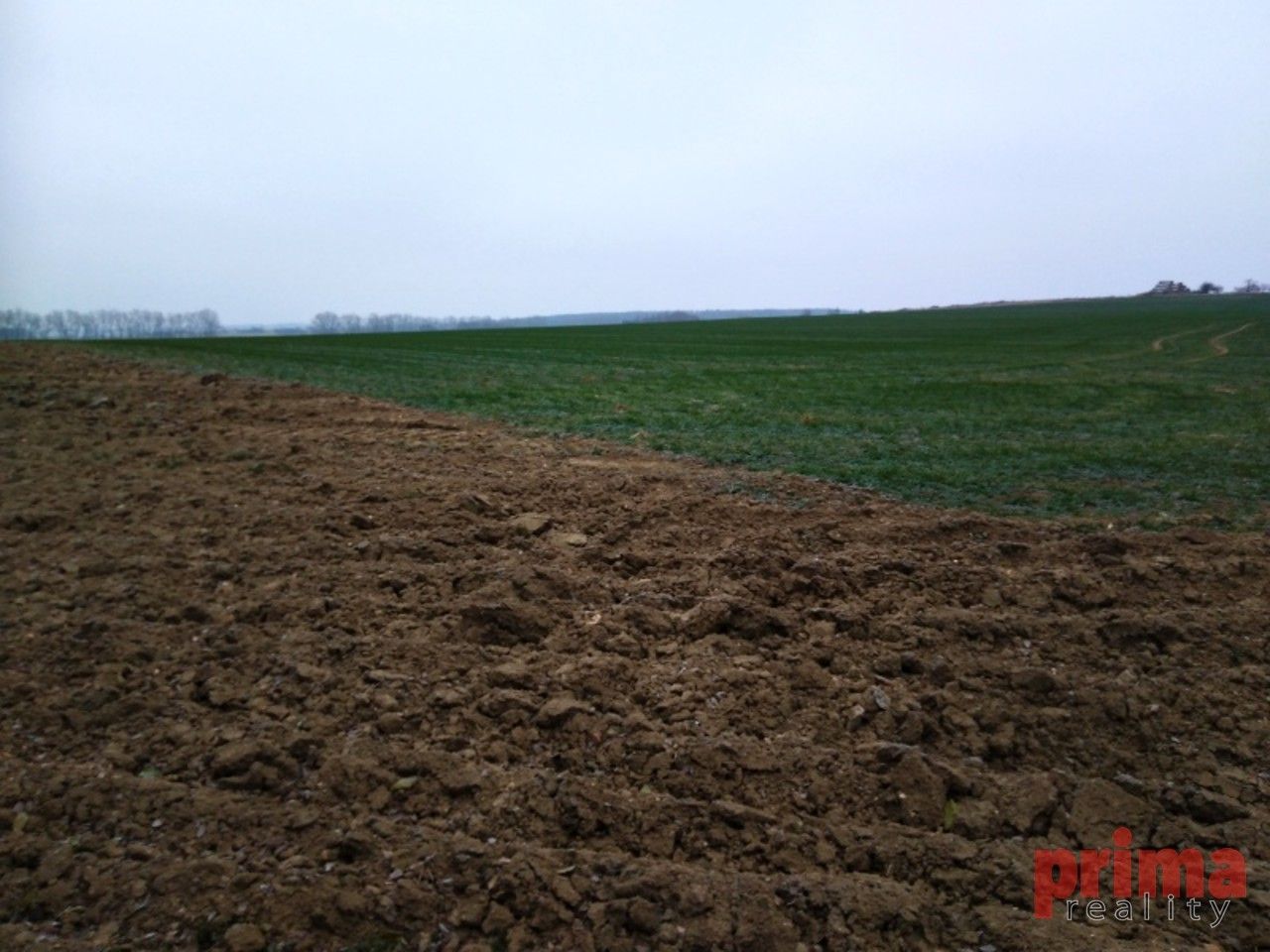 Pozemky pro bydlení, Zvěrkovice, 1 900 m²