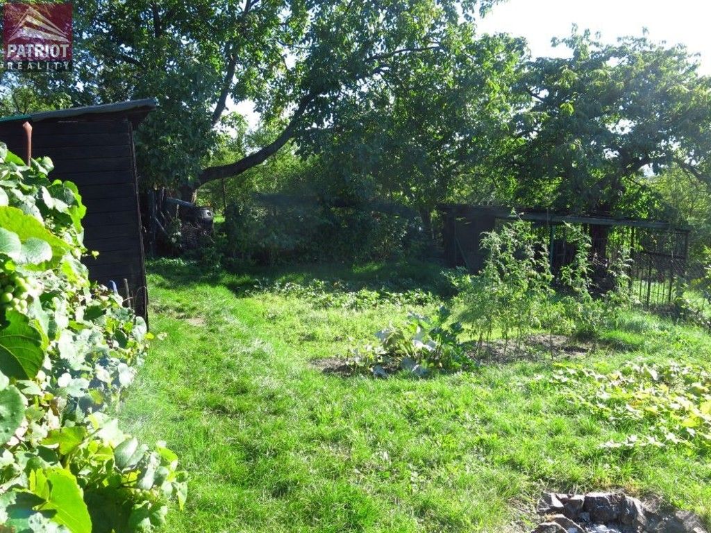 Zahrada · 548 m² · Samotišky - 4