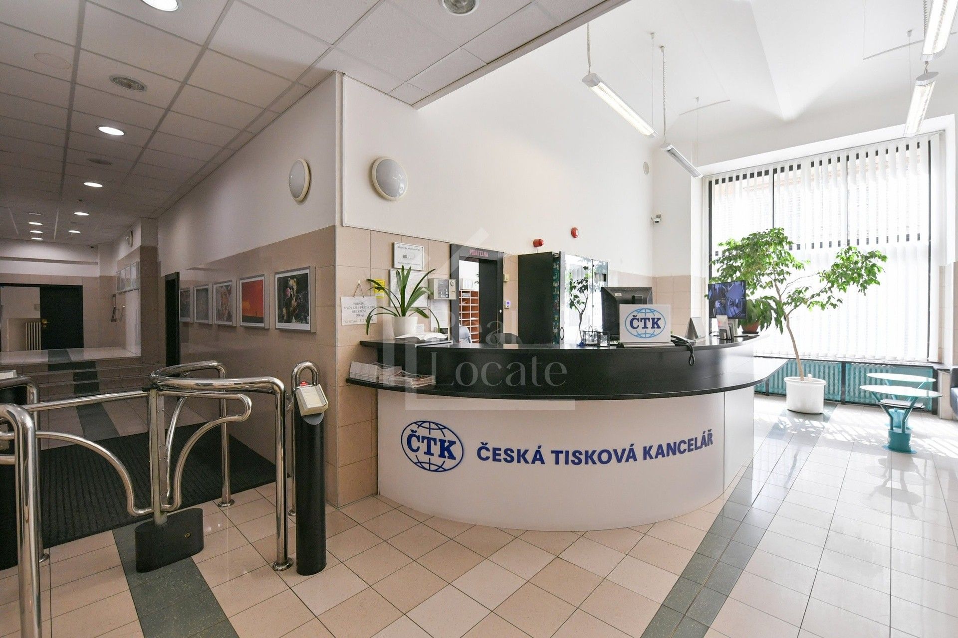 Kanceláře, Opletalova, Praha, 24 m²