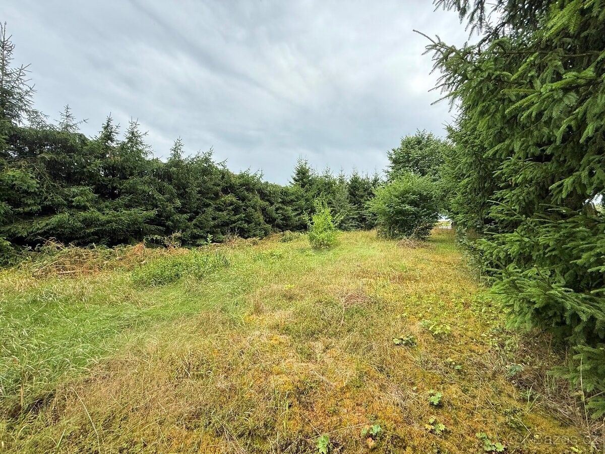 Prodej pozemek pro bydlení - Staré Sedliště, 348 01