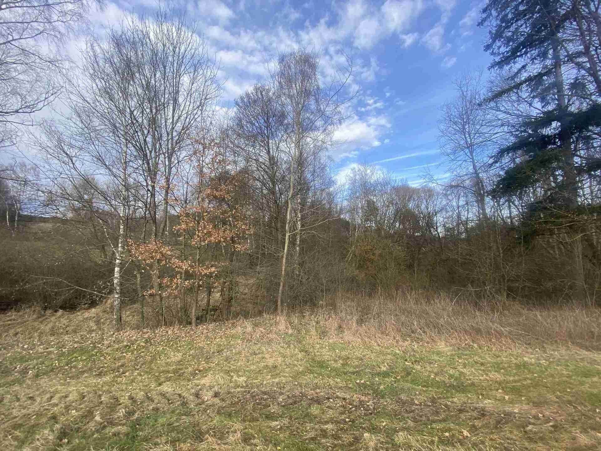 Prodej pozemek - Dolní Dvořiště Trojany, 18 915 m² - 5