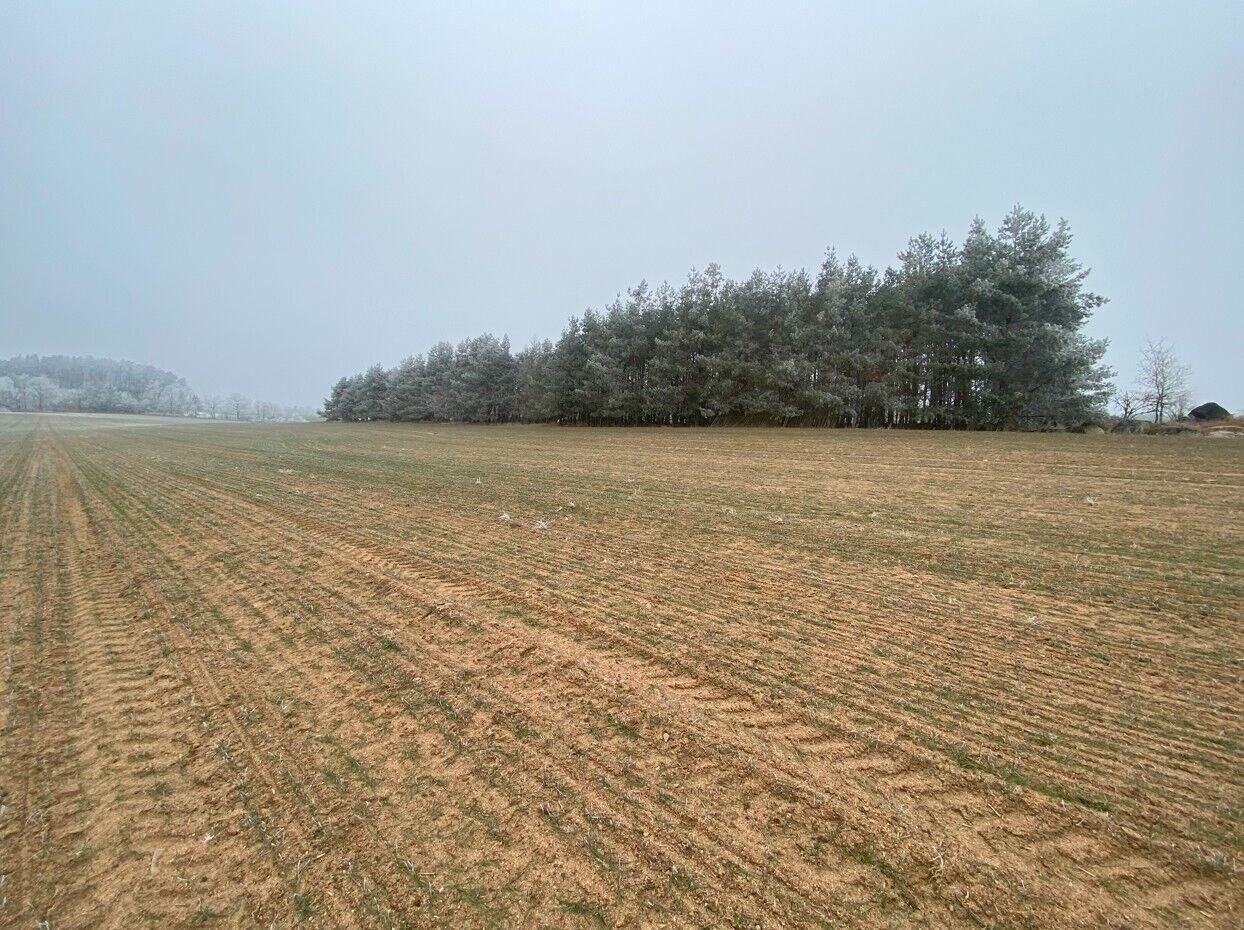 Prodej zemědělský pozemek - Slatina, 11 m²