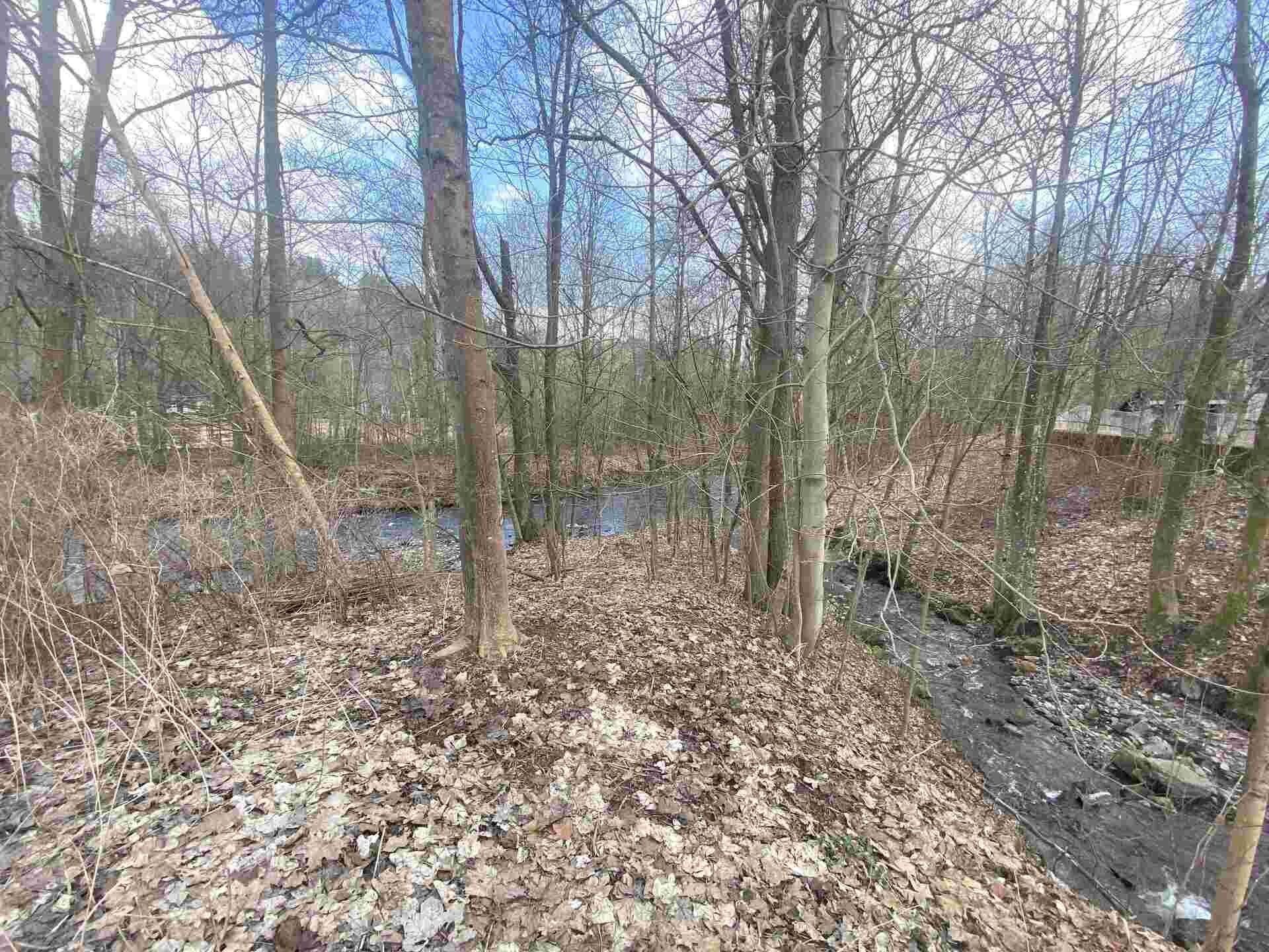 Prodej pozemek - Bartošovice v Orlických horách, 1 m²