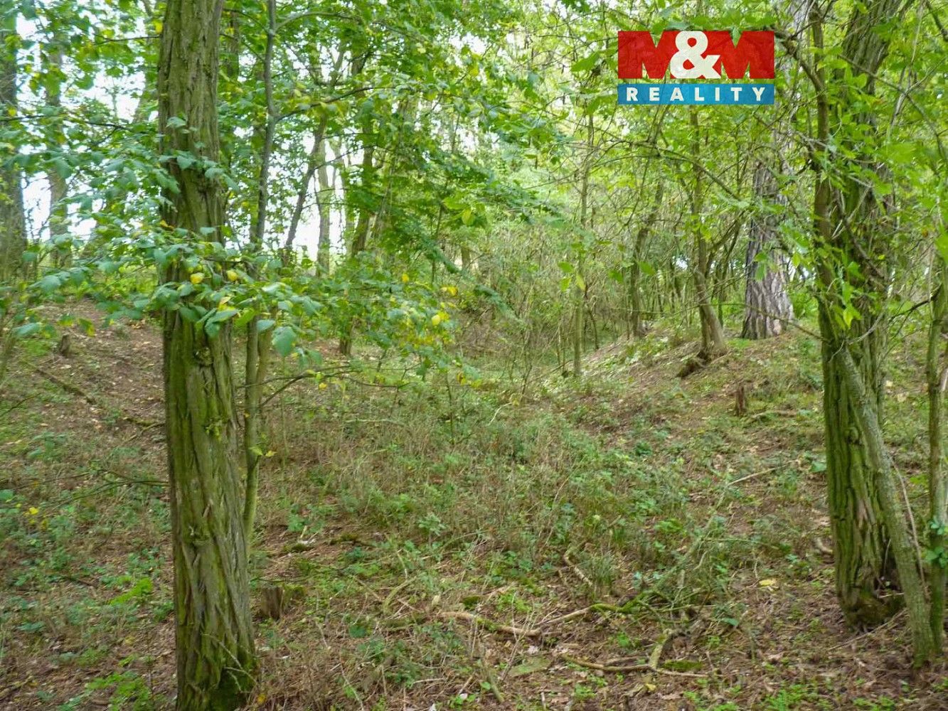 Les, 675 m²