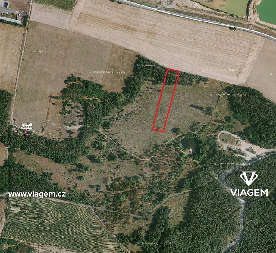 Prodej les - Travčice, okres Litoměřice, Ústecký kraj - 1