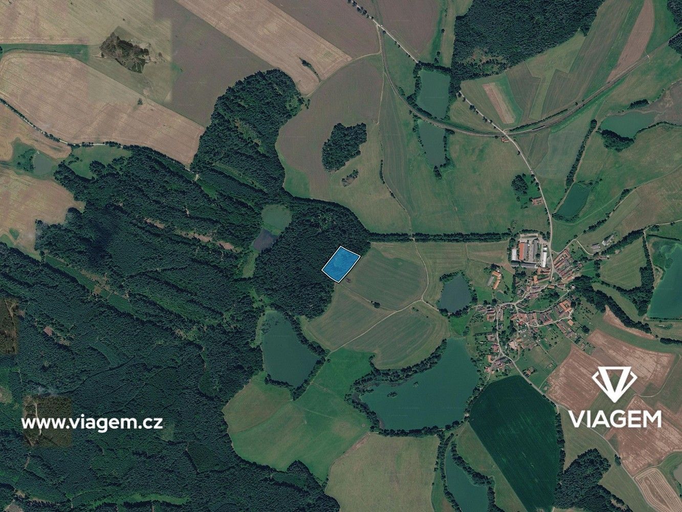 Les · Kardašova Řečice, okres Jindřichův Hradec, Jihočeský kraj - 3