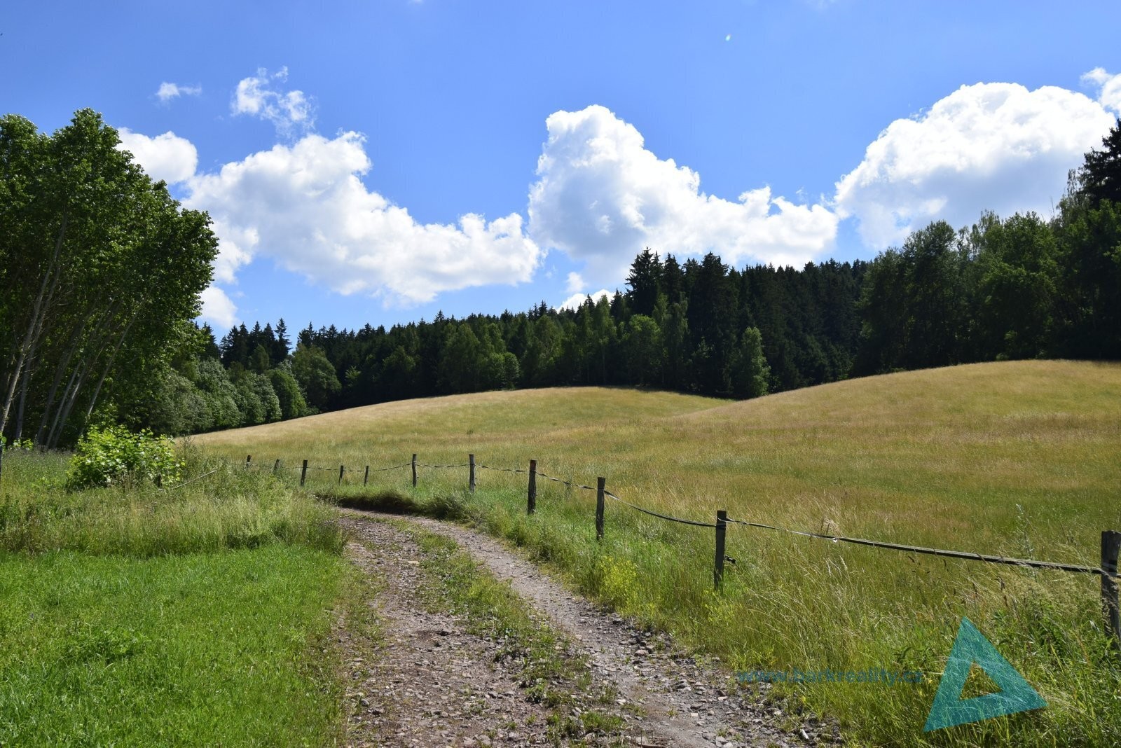 Prodej louka - Čistá u Horek, 24 781 m² - 5