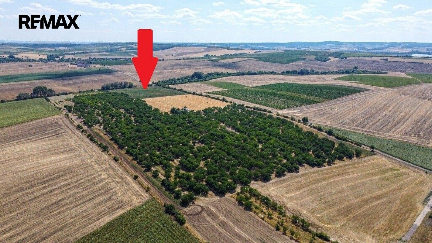 Pozemek · Valtice, okres Břeclav, Jihomoravský kraj - 3
