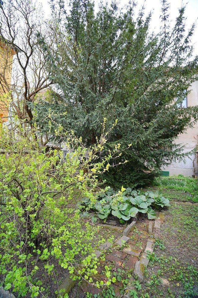 Rodinný dům · 132 m² · Jana Palacha, Kralupy nad Vltavou, okres Mělník - 4