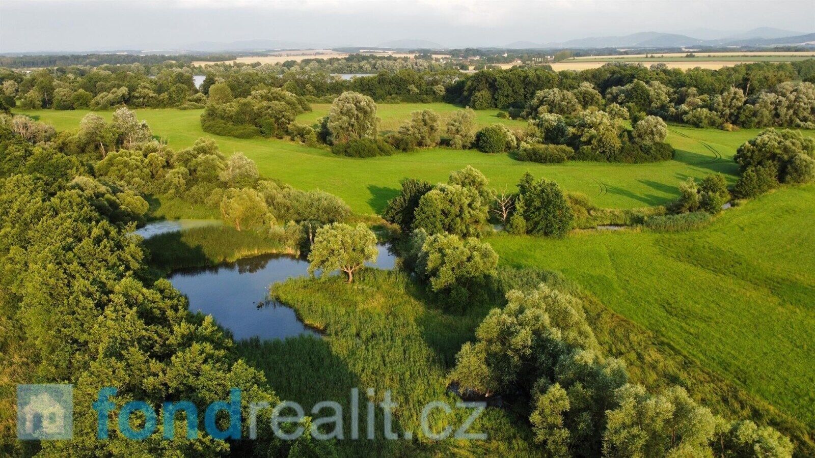 Ostatní, Pustějov, 4 270 m² - 1