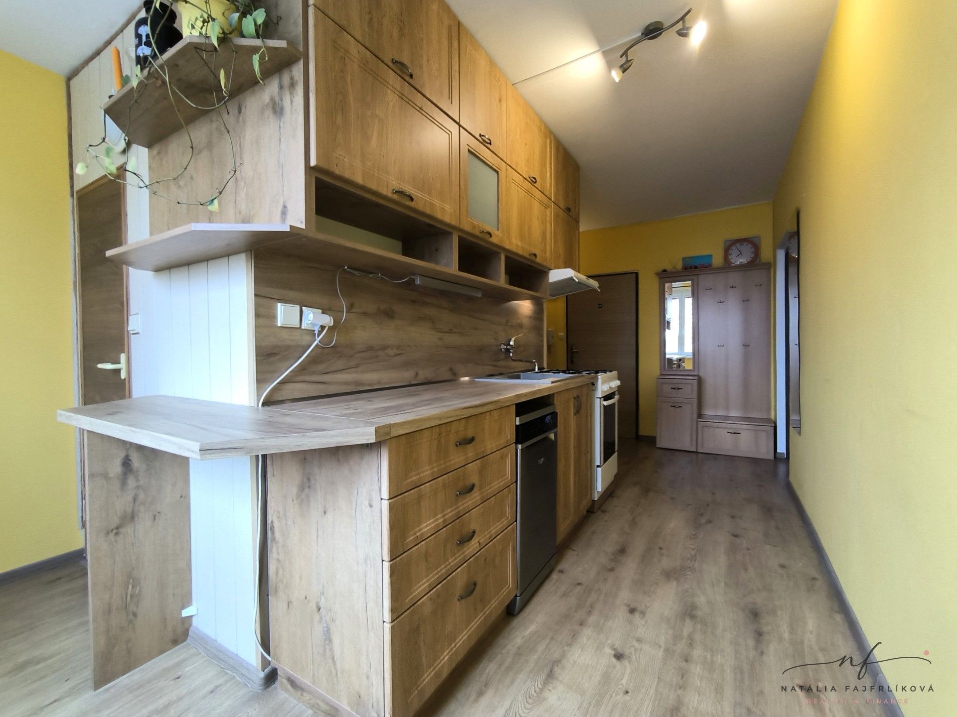 Byt 2+1, 55 m²