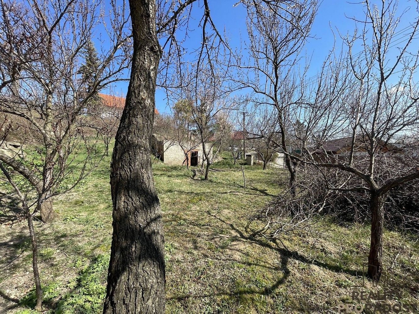 Nemovitost · 60 m² · Valtice, okres Břeclav - 4