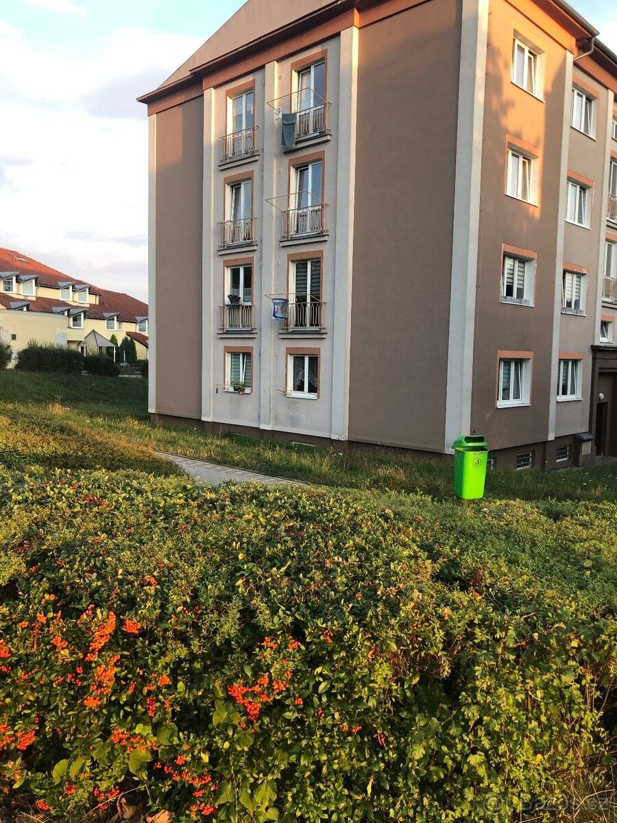 Prodej byt - Ostrov nad Ohří, 363 01