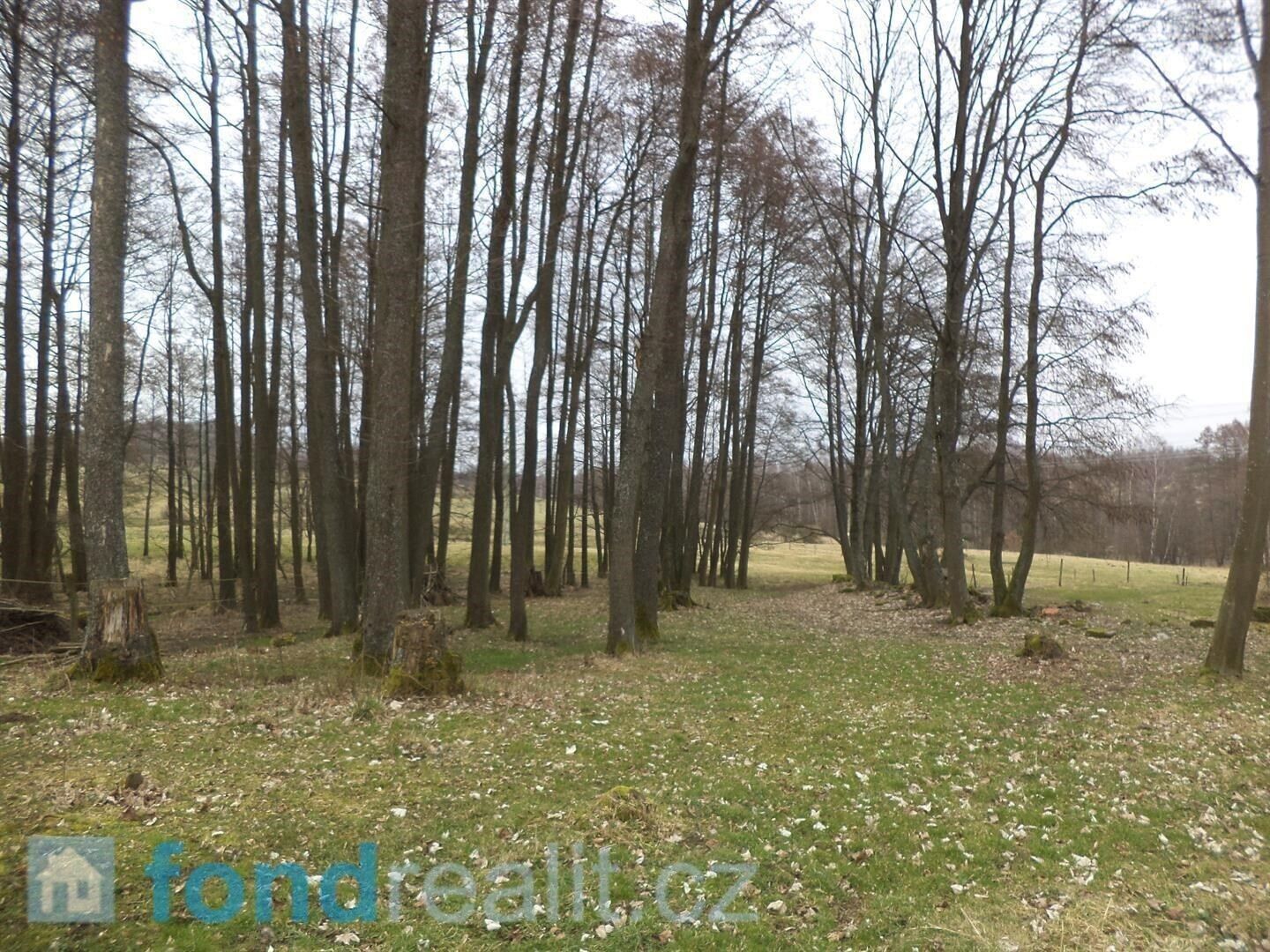 Prodej pozemek - Dolní Nivy, 3 m²