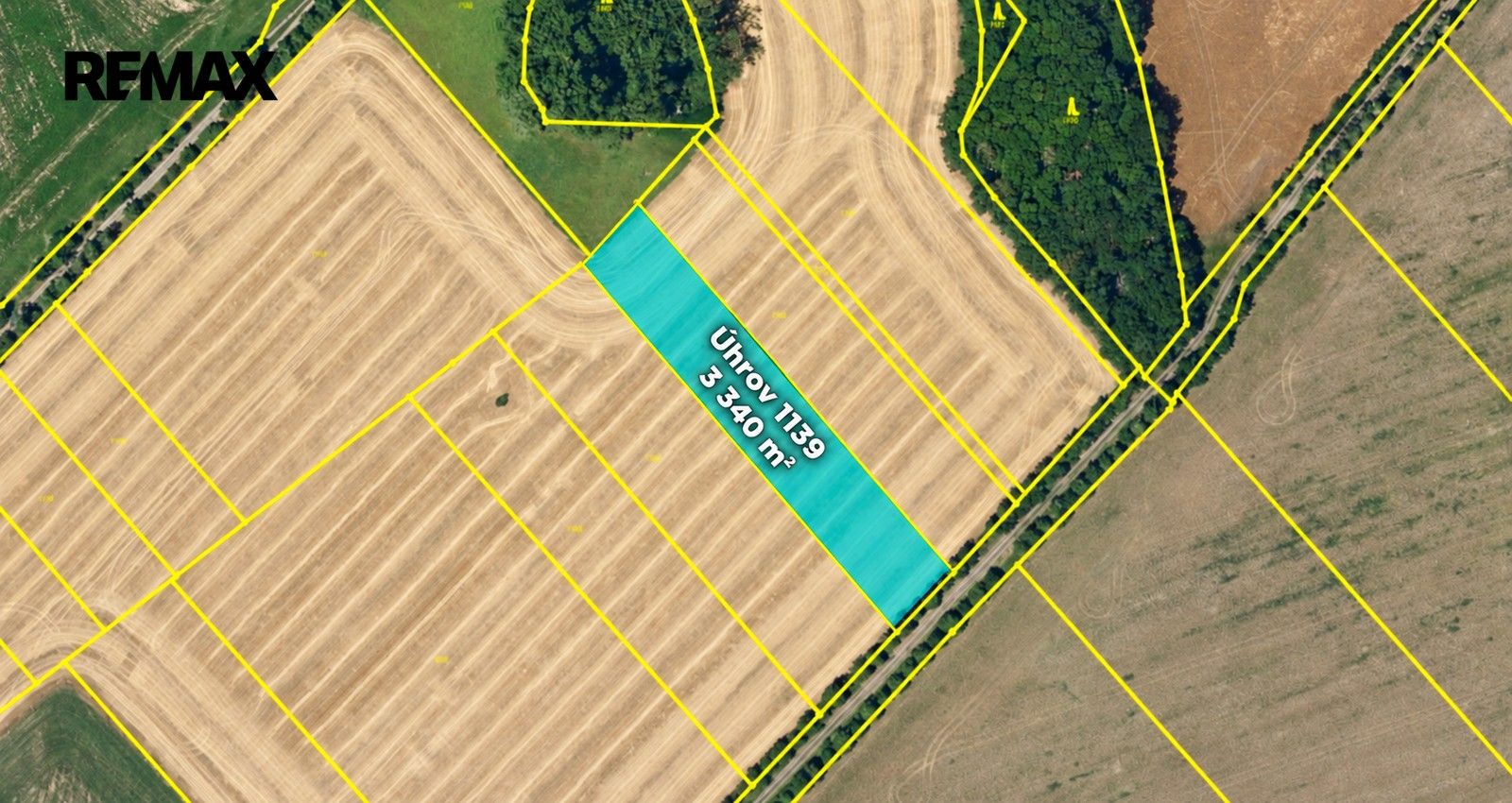 Zemědělský pozemek · 29 196 m² · Heřmanice - 2