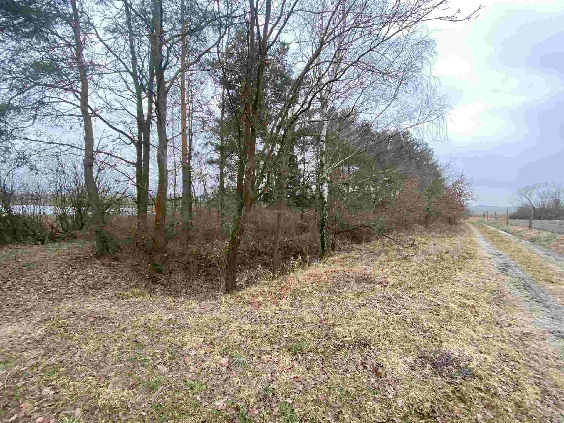 Ostatní, Albrechtice, Drahonice, 2 m²