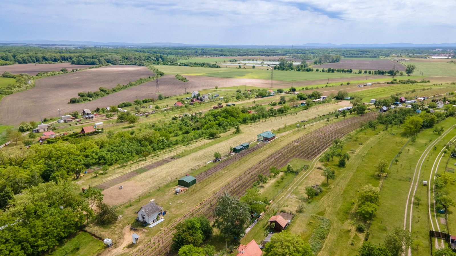 Zahrada · 433 m² · Břeclav - 4