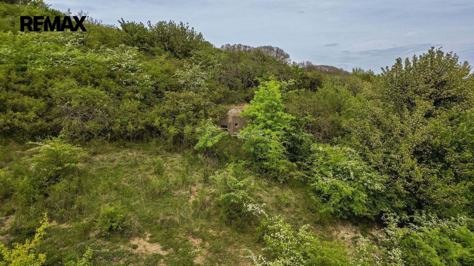 Pozemek · 7 734 m² · Holedeč - 4